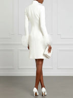 White Feather-trimmed Buckle Classic V Neck Stand Collar Long Sleeve A-Line Mini Dress