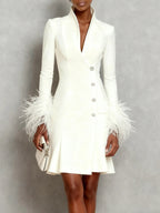White Feather-trimmed Buckle Classic V Neck Stand Collar Long Sleeve A-Line Mini Dress